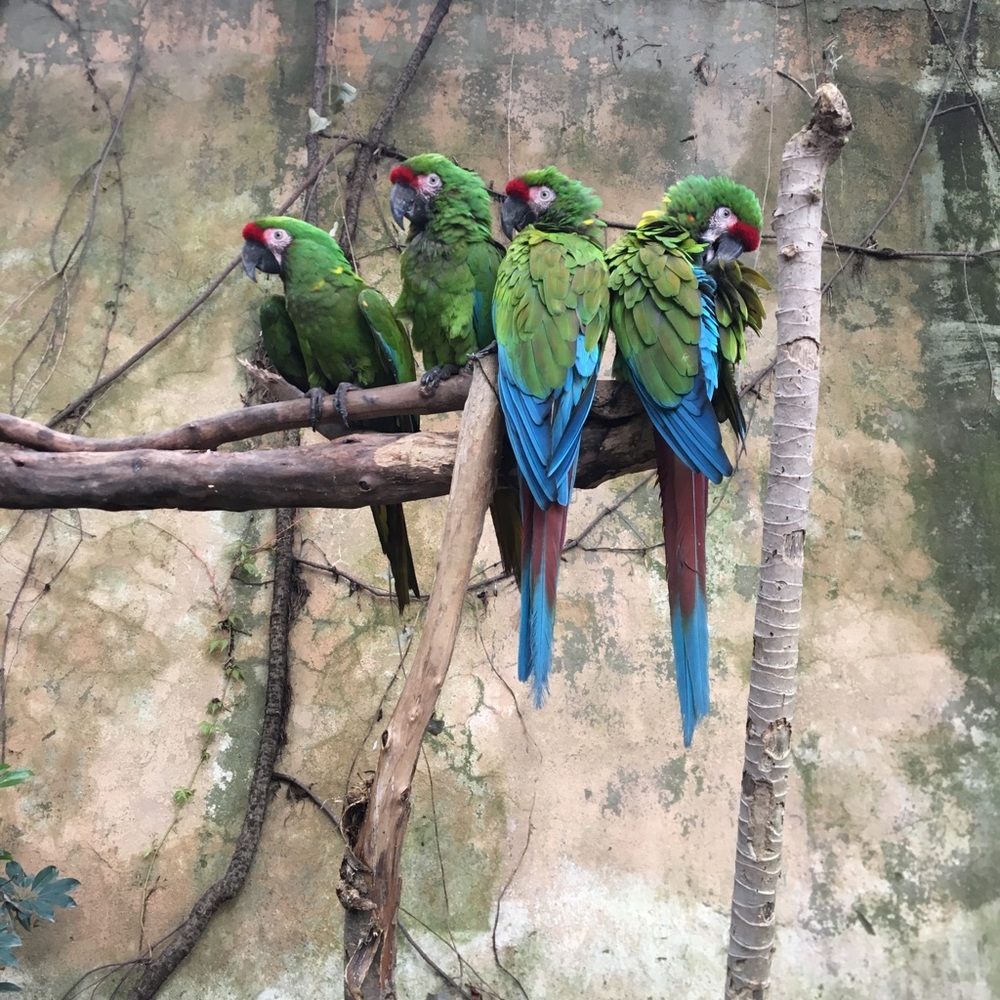 Meet your Posher, Bianca